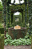 Lady's' mantle around fountain under ivy-covered pavilion