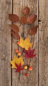 Herbstblätter auf Holzuntergrund