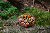 Crocheted copper wire basket of walnuts and Cape gooseberries