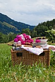 Sweet Williams and crockery on top of picnic basket in summery mountain landscape