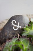 Dark pebble with engraved symbol painted white