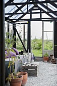 Furniture, plant pots, couch and wooden crate on gravel floor in greenhouse