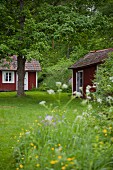View across meadow to traditional Swedish holiday cottages