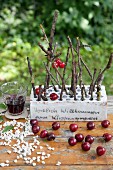 Twigs stuck in brick decorated with writing and cherries