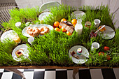 A laid breakfast table planted with grass