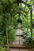 Stone path with steps leading through climber-covered, green wooden tunnel arbour; vintage ambiance