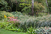 Ornamental grass and Przewalski's golden ray in herbaceous border in idyllic garden