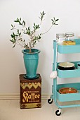 Small olive tree in turquoise ceramic vase stood on vintage coffee can next to crockery on serving trolley