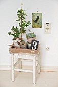 Mediterranean arrangement of succulents in terracotta pots on white vintage stool below vintage-style picture of bird on wall