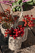 Rose hips in small wicker baskets on wooden table