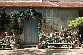 Agaven in Pflanzentöpfe auf halbhoher Steinmauer vor rustikalem Natursteinhaus