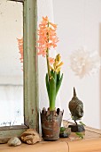 Apricot hyacinths in rusty metal pot, head of Buddha and pebbles next to shabby-chic mirror frame
