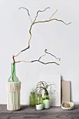 Decorative arrangement of branch covered in wool remnants of various colours, glass vase with knitted cover, three small bottles, air plant and books
