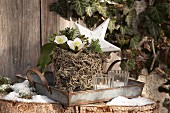 Plant pot wrapped in lichen on tin tray