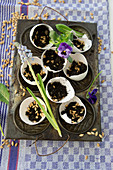 Egg shells filled with soil and cat grass seeds on baking tray