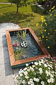 Fountain and aquatic plants in hand-made pool seen from above in summery garden