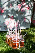 Refreshing drinks with drinking straws in bottle carrier on lawn