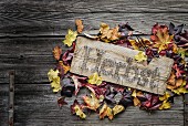 String-art sign with autumn motto surrounded by colourful leaves