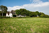 View of rustic holiday home across large meadow