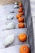 View down steps with white and orange pumpkins on treads