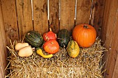 Various pumpkins on bale of straw in wooden crate