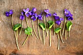Violets on wooden surface (top view)