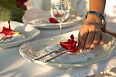 Rote Blüte in Frauenhand als Tischdeko auf weißem Porzellanteller mit Besteck
