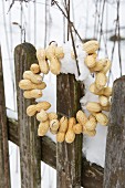 Wreath of peanuts on snowy garden fence