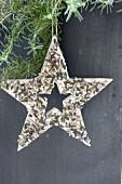 Wooden star filled with bird cake made from coconut oil and sunflower seeds