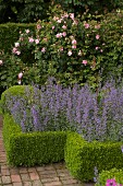 Beds edged with clipped box hedges and brick-paved path in front of tall rose bush