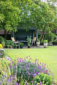 Purple-flowering perennials and mown lawn in garden with summerhouse in background