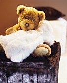 Cuddly teddy bear and faux-fur hot-water bottle