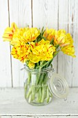 Yellow tulips in preserving jar