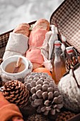 Pine cones and winter picnic in old suitcase