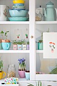 Pastel crockery and planted tins in white dresser