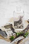 Still-life arrangement of vintage family photo and bottle decorated with vintage picture of goats