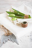 Tulips buds and leaves wrapped in tape on napkin
