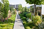 Long wooden walkway leading through garden planted with ground cover and perennial plants