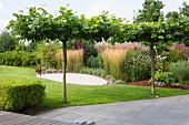 Young trees, lawn and herbaceous border in garden