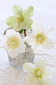 Christrosen in Vase aus Bauernsilber auf weißem Häkeldeckchen
