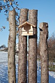Vogelhäuschen an rustikalen, abgeschnittenen Baumstämmen