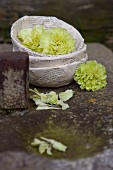 Green carnations in bowls made from pages of old books