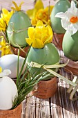 Grün bemalte Ostereier als Vasen für gelbe und weiße Narzissen