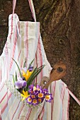 Apron with flowers and wooden spoon in pocket hung from tree