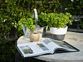Open book, yarn and potted herbs on garden table