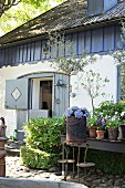 Various flowering potted plants and vintage plant stand outside country house with stable door