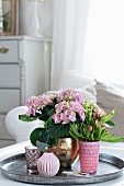 Hydrangea, pitcher plant and vases on tray