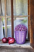 Purple allium flower in purple pot next to red onions on rustic windowsill