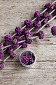 Branch of purple beautyberry on rustic wooden table