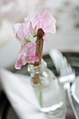 Wooden sticks with name and pink flowers in glass vials